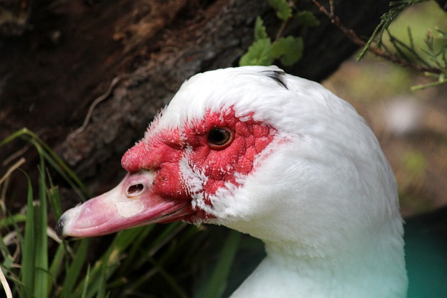 的完美升级 的完美升级