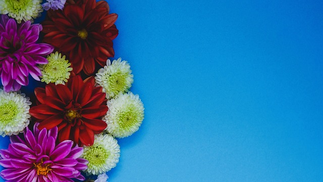 高度的考量 高度的考量