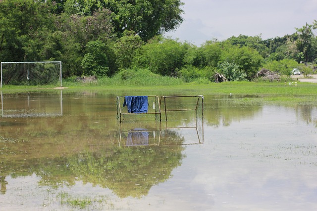 蒂奇展开对 蒂奇展开对