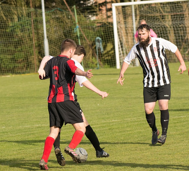 电动汽车 电动汽车
