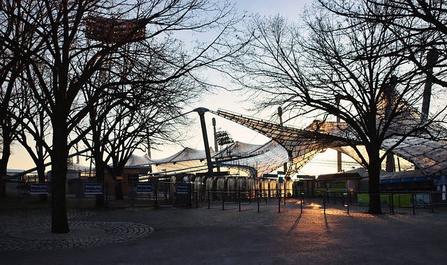 仅收获健康 仅收获健康